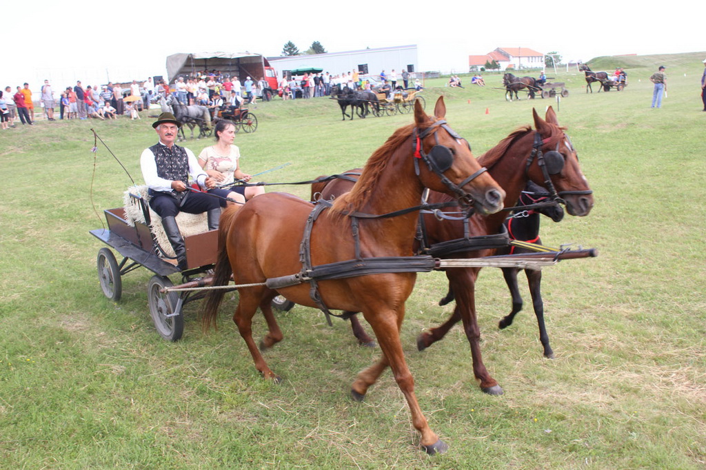 Fijaker04